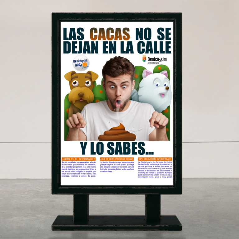 Benicassim Neta